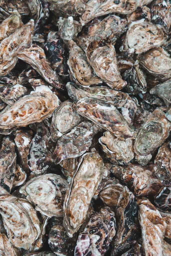 Krisis Tiram di Hiroshima: Pekerja Magang Terdampak Pengurangan Jam Kerja